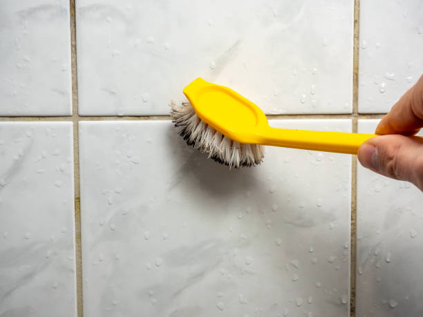 Best Mold Cleaning Services  in Combes, TX