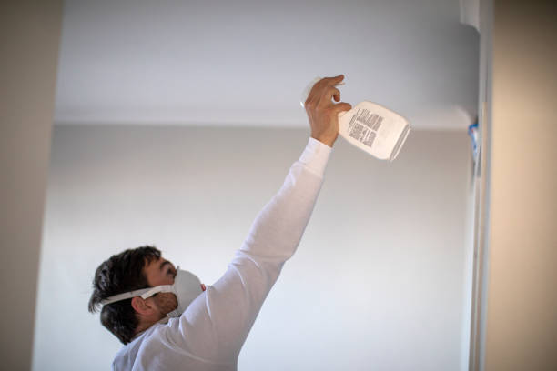 Best Mold Remediation  in Combes, TX