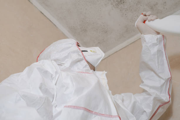 Best Office Mold Removal Services  in Combes, TX
