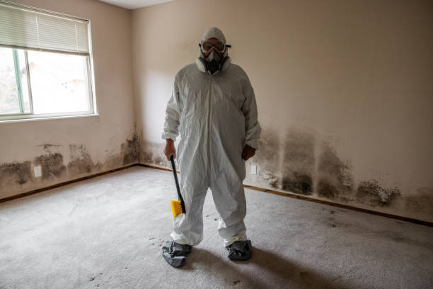 Best Mold Cleaning Services  in Combes, TX